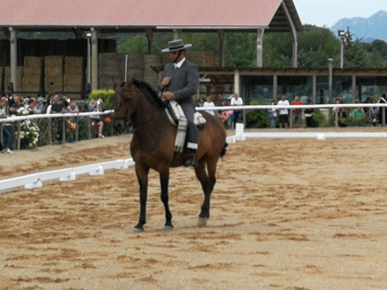 Final del Campeonato Navarro de Doma Vaquera 2018 en Acedo